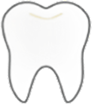 歯科