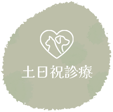 土日診療中